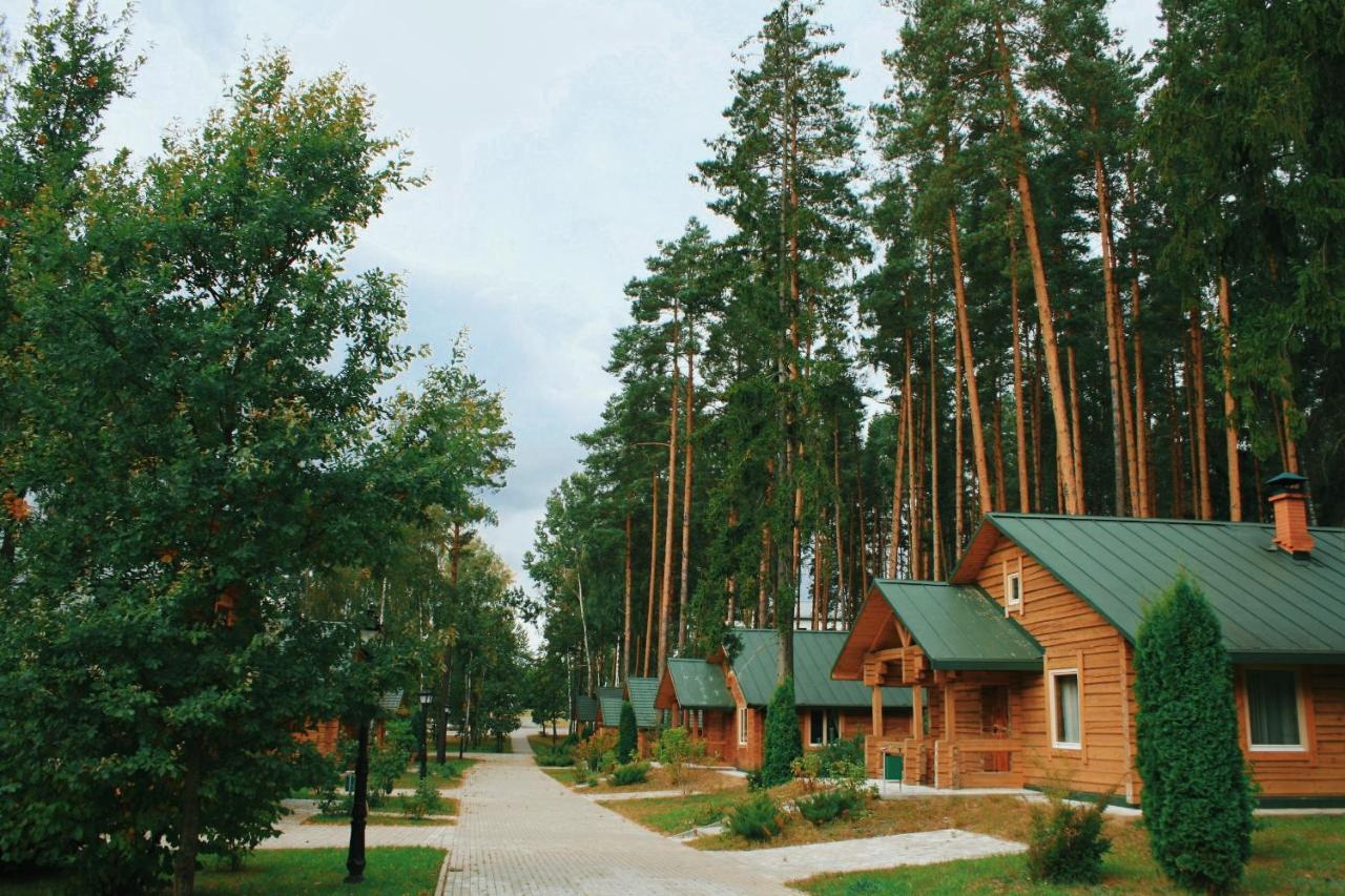 Green Park Hotel Airport Minsk Silichy Exterior foto